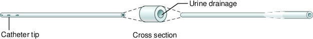 Descriptive text is not available for this image