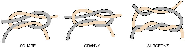 Descriptive text is not available for this image