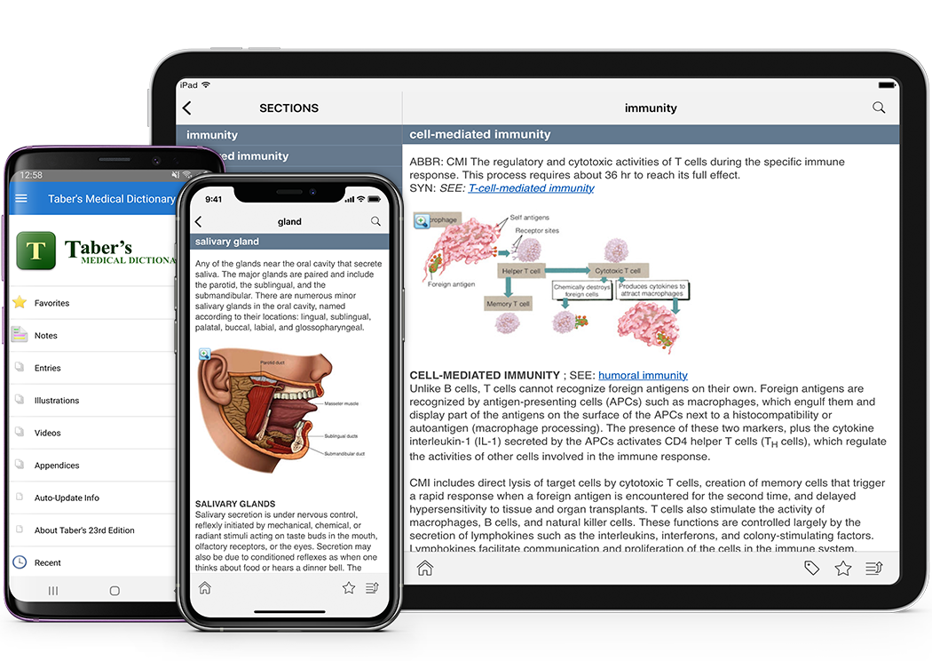 thoracopathy Taber's Medical Dictionary